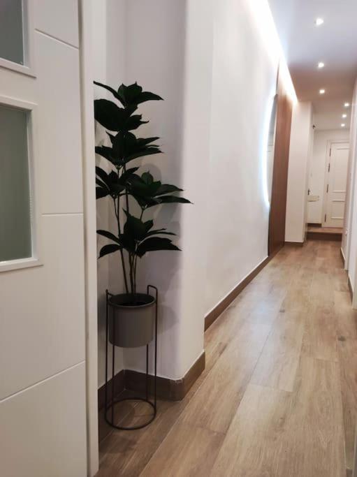 Apartamento Sierra-Sol Ронда Екстер'єр фото